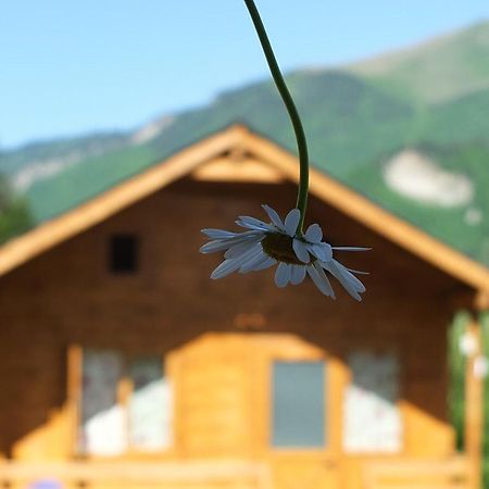Mountain Cabins 梅斯蒂亚 外观 照片