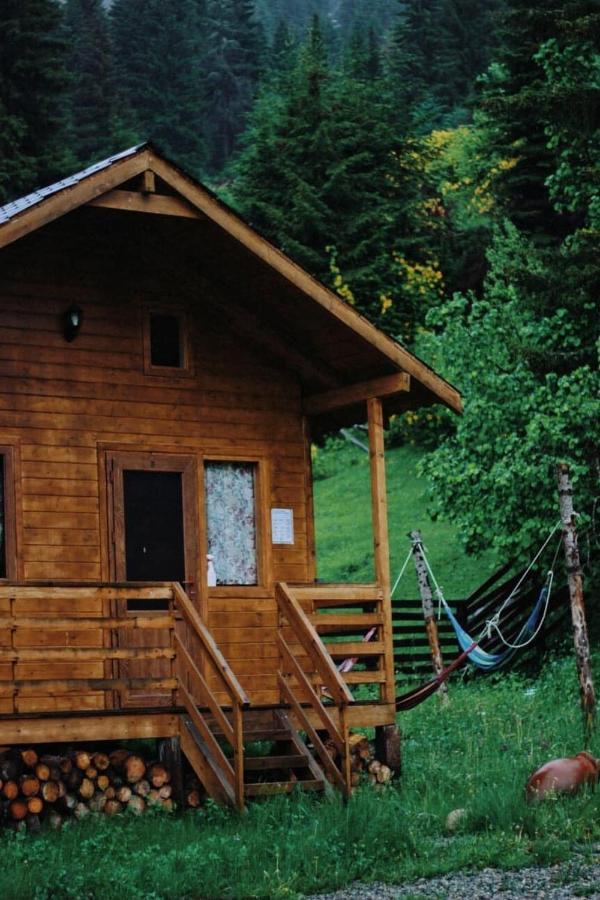 Mountain Cabins 梅斯蒂亚 外观 照片