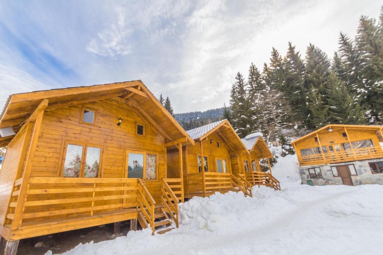 Mountain Cabins 梅斯蒂亚 外观 照片