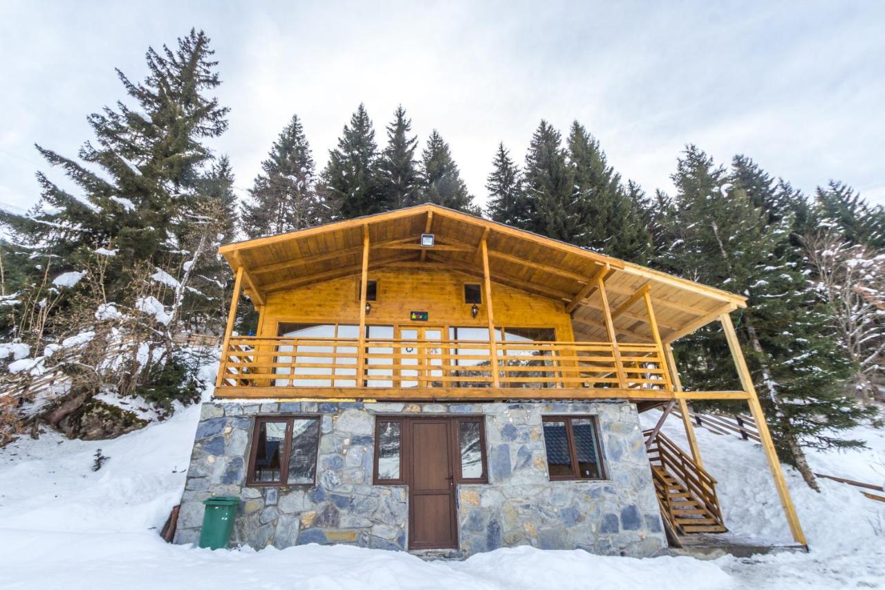 Mountain Cabins 梅斯蒂亚 外观 照片
