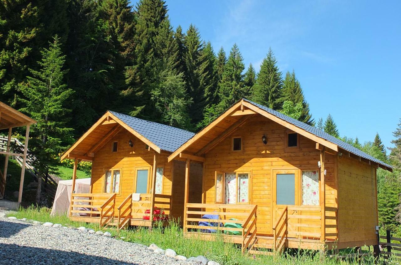 Mountain Cabins 梅斯蒂亚 外观 照片