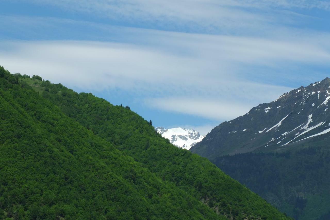 Mountain Cabins 梅斯蒂亚 外观 照片