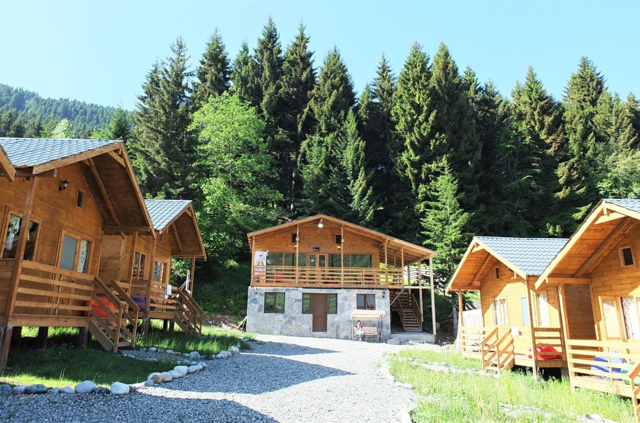Mountain Cabins 梅斯蒂亚 外观 照片