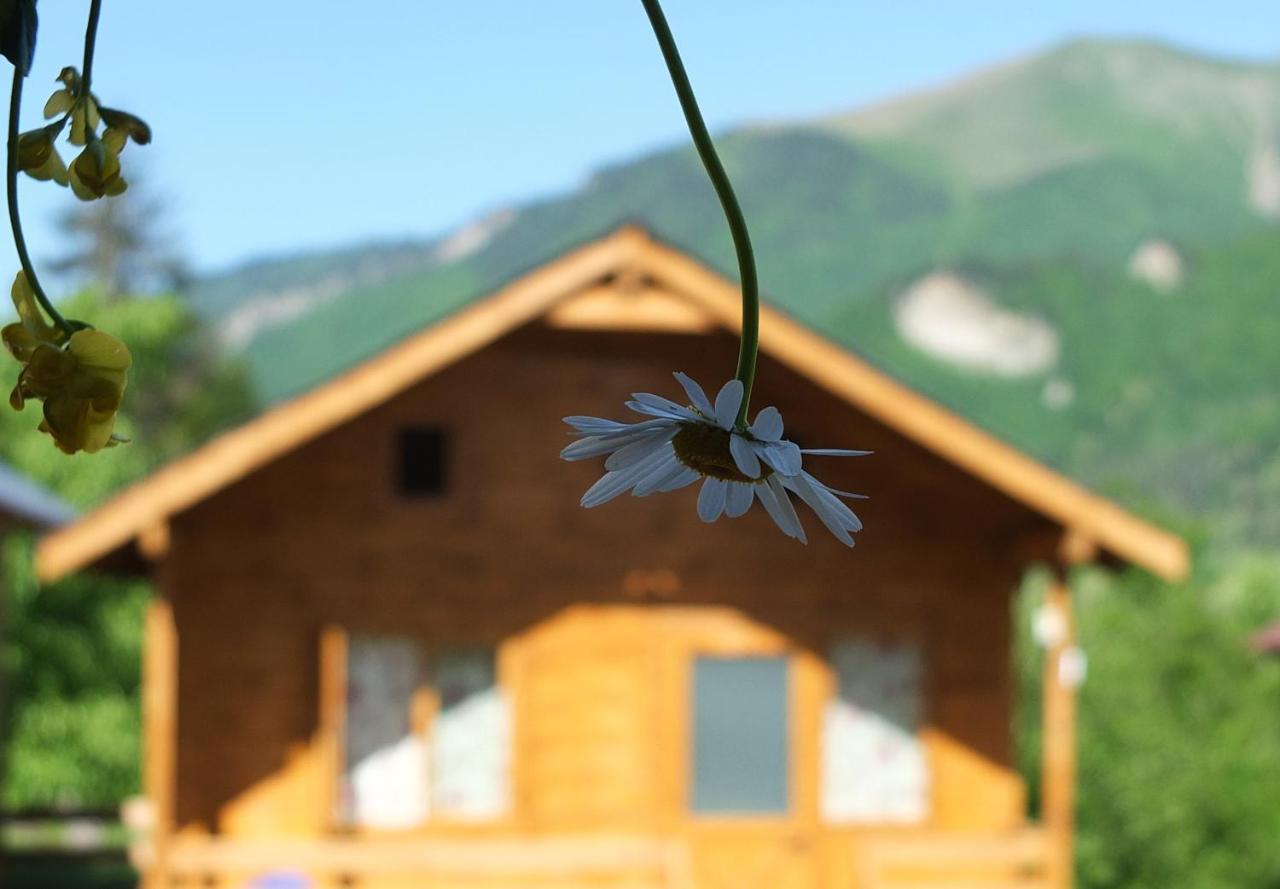 Mountain Cabins 梅斯蒂亚 外观 照片