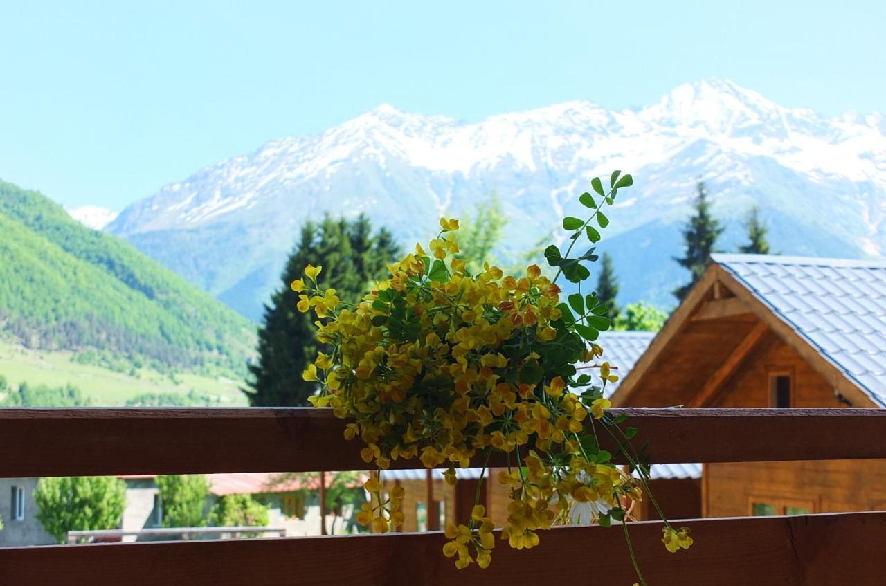 Mountain Cabins 梅斯蒂亚 外观 照片